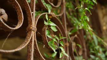 Rost an Geländern und Brüstungen